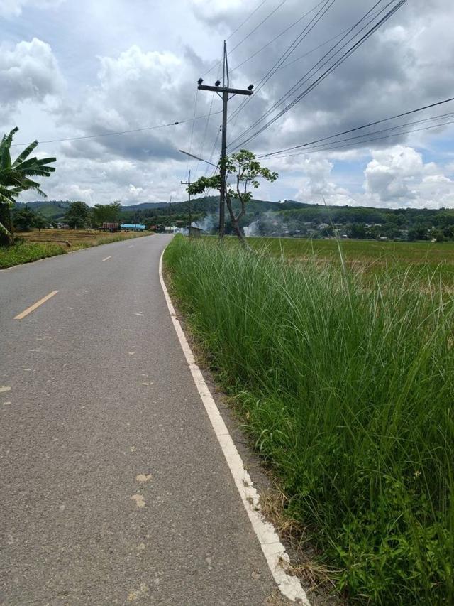 ขายที่ดิน 14 ไร่ 37 ตร.ว. ติดถนน โฉนดครุฑแดง พร้อมโอน ใกล้สถานที่ท่องเที่ยว  อำเภอเวียงป่าเป้า จังหวัดเชียงราย 7