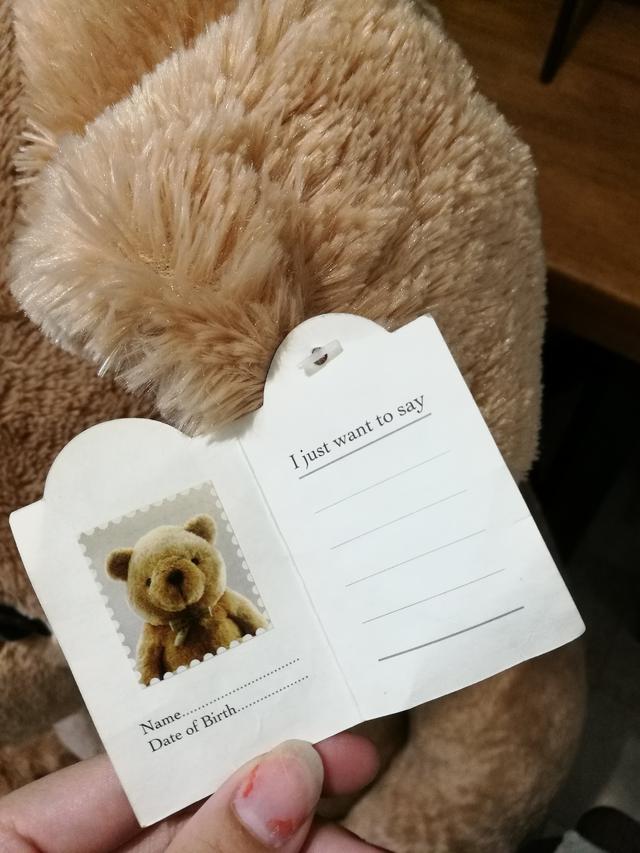 ส่งต่อพี่หมีตัวใหญ่ ของTeddy house ไม่มีที่วาง ใหม่มากห่อคลุมกันฝุ่นไว้ตลอด 3