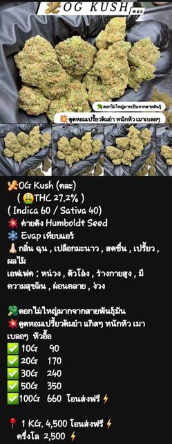 กัญๆ📲💯 7