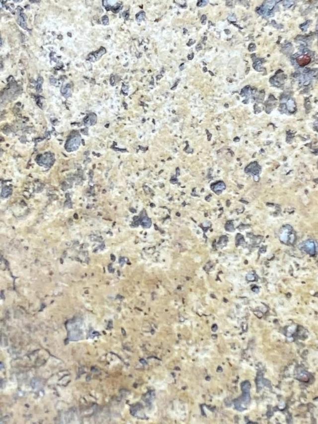 พระสมเด็จวัดระฆัง บางขุนพรรม เกศไชโย และพระเบญจภาคี รูปที่ 6