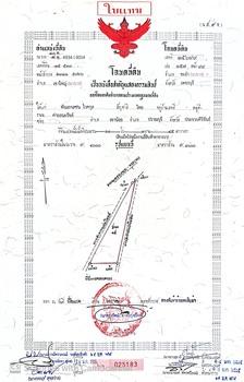 P-9 ขายที่ดินทำเลสวยติดถนน พื้นที่หุบกะพง พื้นที่ 151 ตร.วา ขึ้นไป ราคาเริ่มต้นที่ 14,000 บาท 17
