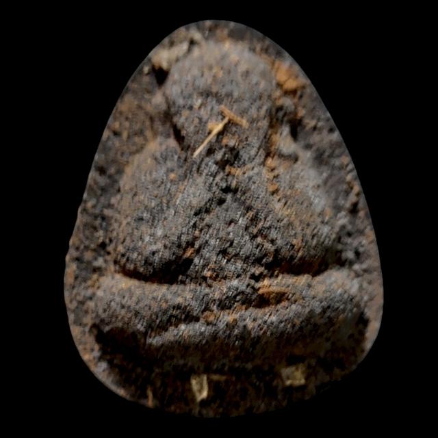 พระปิดตาปลดห มีทรัพย์ หลวงปู่เคน โชติโก วัดปาเทพนิมต สกลนคร