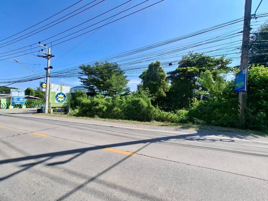 ขายที่ดิน ติดถนนเลียบคลองสี่ รังสิต 3ไร่ แปลงสี่เหลี่ยม หน้ากว้าง 30ม. ผังสีชมพู ใกล้แหล่งชุมชน เหมาะพัฒนาโกดัง อาคารพาณ 6