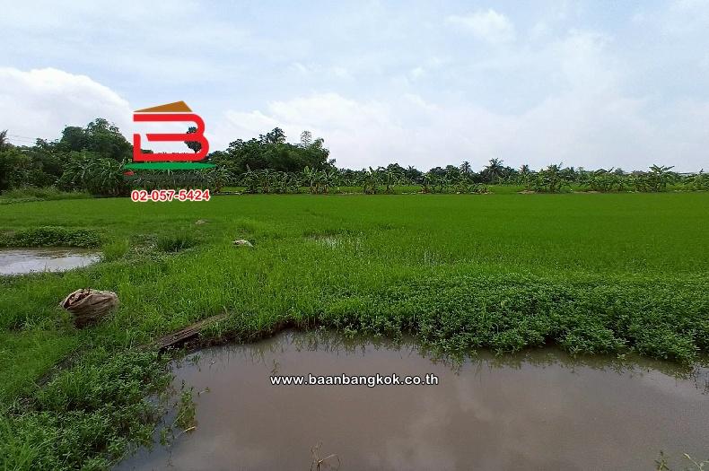 ที่ดินเปล่า ไมตรีจิต 10 แยก 4 เนื้อที่ 41-0-52 ไร่ ใกล้โรงพยาบาลรัตนประชารักษ์ แขวงสามวาตะวันออก เขตคลองสามวา กรุงเทพมหานคร