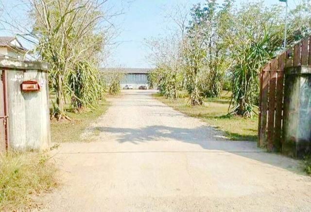 บางจากศรีนครออยล์ 59 1.0 กม.ให้เช่าโกดัง พร้อมออฟฟิศ 860 ตร.ม.800ตร.วา. วัดเขาพริกพนาราม ราชบุรี กศน.ต.ห้วยไผ่ 750 ม. 7