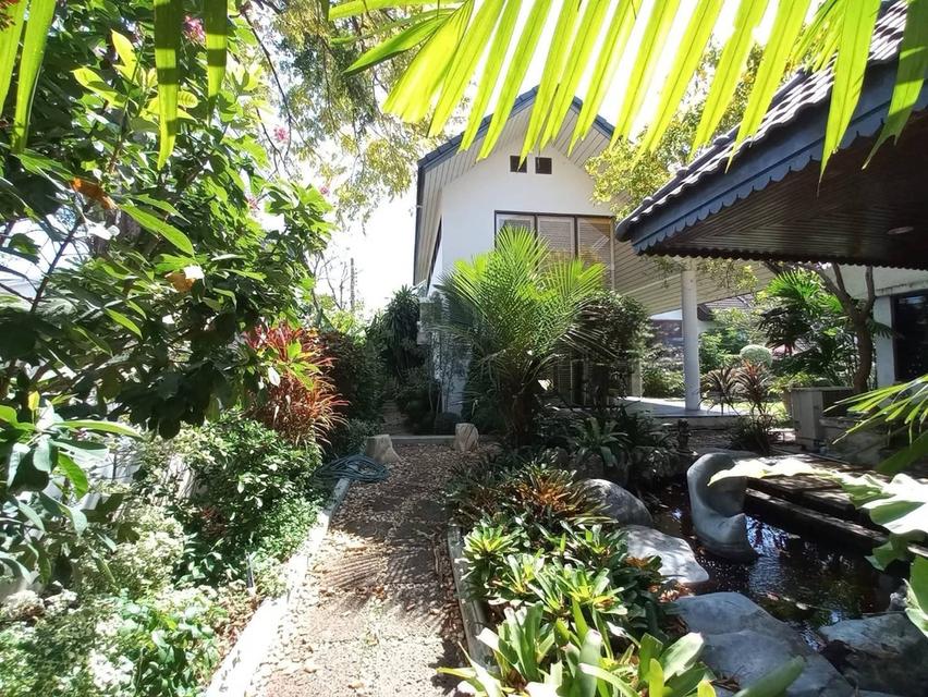 ขายบ้านเดี่ยวพัฒนาการ บ้านหรูพร้อมสวนขนาดใหญ่ ที่ดิน200ตร.ว เอื้อสุข พัฒนาการ56 ใกล้รร.เตรียมอุดม ศรีนครินทร์ สนามบิน มอเตอร์เวย์ พระราม9 0879074045 3