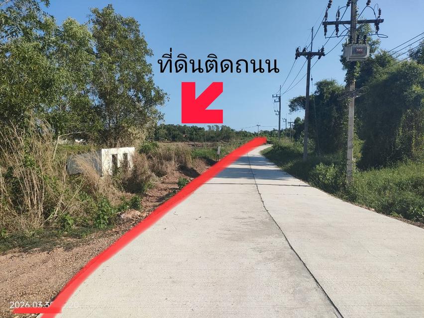 ขายที่ดิน ทำเลเหมาะลงทุน รีสอร์ท, โฮมสเตย์ 3