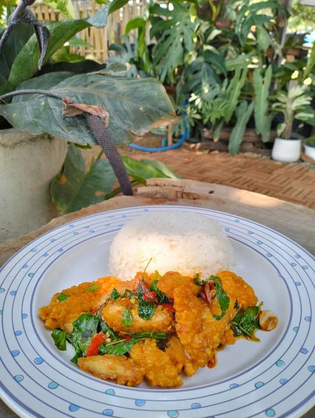 ภาพถ่ายจริงจากสถานที่จริง ร้านกาแฟ มาตา โคกตูม ลพบุรี