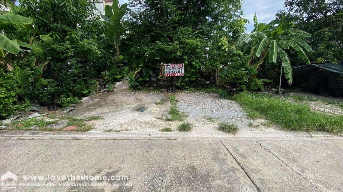 ขายที่ดิน ลาดพร้าววังหิน 6 เข้าซอย 150 เมตร เนื้อที่ 99 ตรว. หน้ากว้าง 25 เมตร อยู่ใกล้ถนนโชคชัย 4