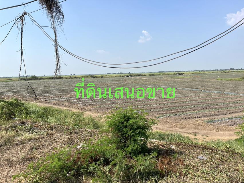 ขายที่ดินติดถนนสายอยุธยา อ่างทอง 083 610 6693 4