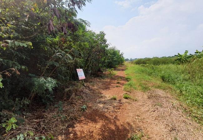 ขายที่ดิน ถนนฤชุพันธ์(บางบัวทอง-สุพรรณบุรี) ตำบลไทรใหญ่ อำเภอไทรน้อย นนทบุรี 4
