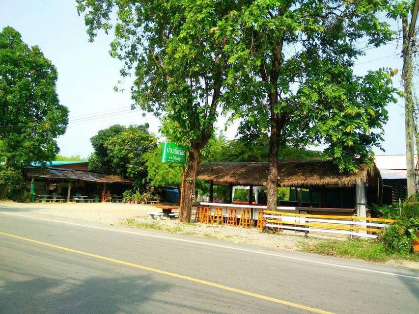 ขายที่ดิน 4 ไร่ ทำเลสวย ติดถนนทางเข้า มหาลัยแม่โจ้แพร่ จังหวัดแพร่ 6