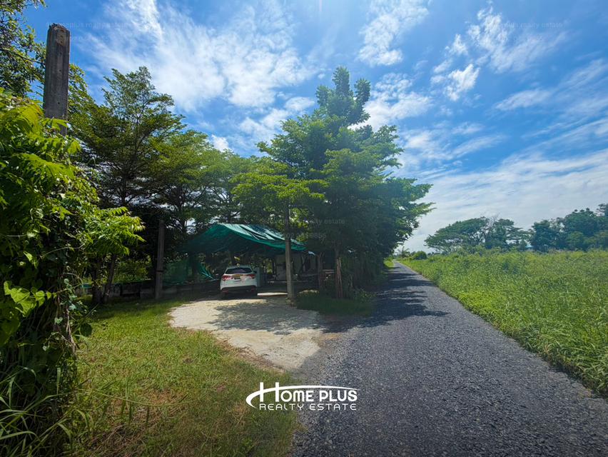 🌍 ขายที่ดินถมแล้ว 2 ไร่ ทำเลศักยภาพ หนองจอก กรุงเทพฯ 2