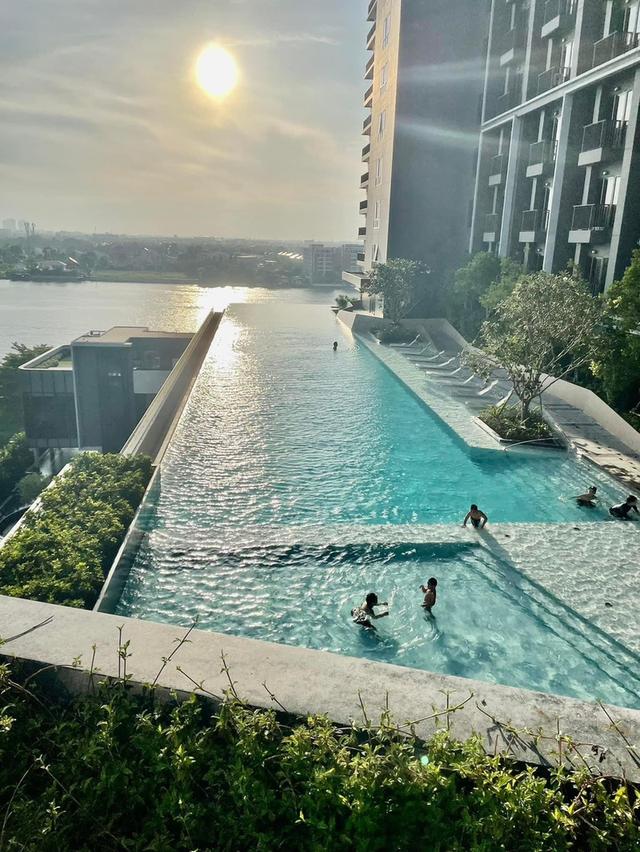 ให้เช่าคอนโด The Politan Aqua ชั้น 41 ซ.นนทบุรี 15 ทำเลดี เดินทางสะดวก ใกล้MRT สะพานพระนั่งเกล้า 15