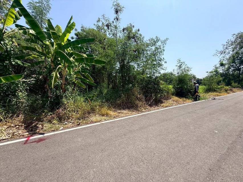 ขายด่วนทีดิน 200 ตารางวา ติดถนนลาดยาง 9 ต.บ้านใหม่ อ.บางใหญ่ จ.นนทบุรี 3