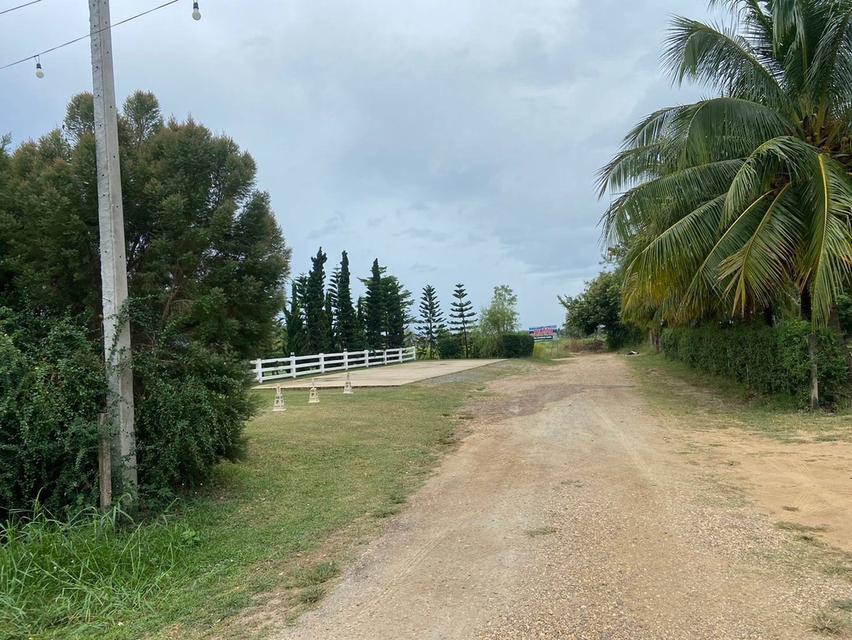 ขายที่ดิน 3 ไร่ ทำเลสวยมาก วิวเห็นเขารอบด้าน 360 องศา ใกล้พระธาตุช่อแฮ ใกล้สนามบินแพร่ 1