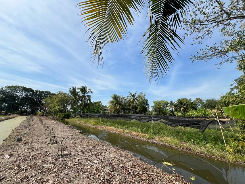 ขายที่ดิน ใกล้บางบัวทอง ไทรน้อย