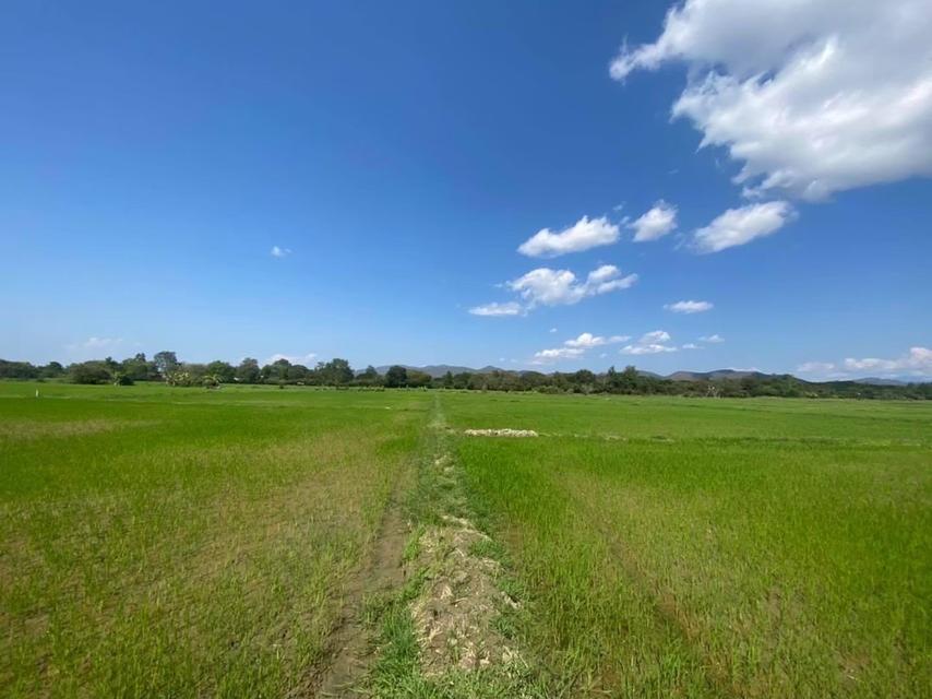 ที่ดินเปล่า ย่านชุมชน ใกล้เมือง เข้าออกสะดวกหลายทาง บรรยากาศดี เหมาะแก่การทำเกษตร บ้านจัดสรร รีสอรท์ ศูนย์ปฏิบัติธรรม 4