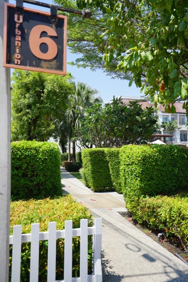 ให้เช่าทาวน์โฮม 3 ชั้น เออร์บาร์เนี่ยน urbanion บ้านสวยพร้อมอยู่ ใกล้ซีคอนสแควร์ (N.1949) 10