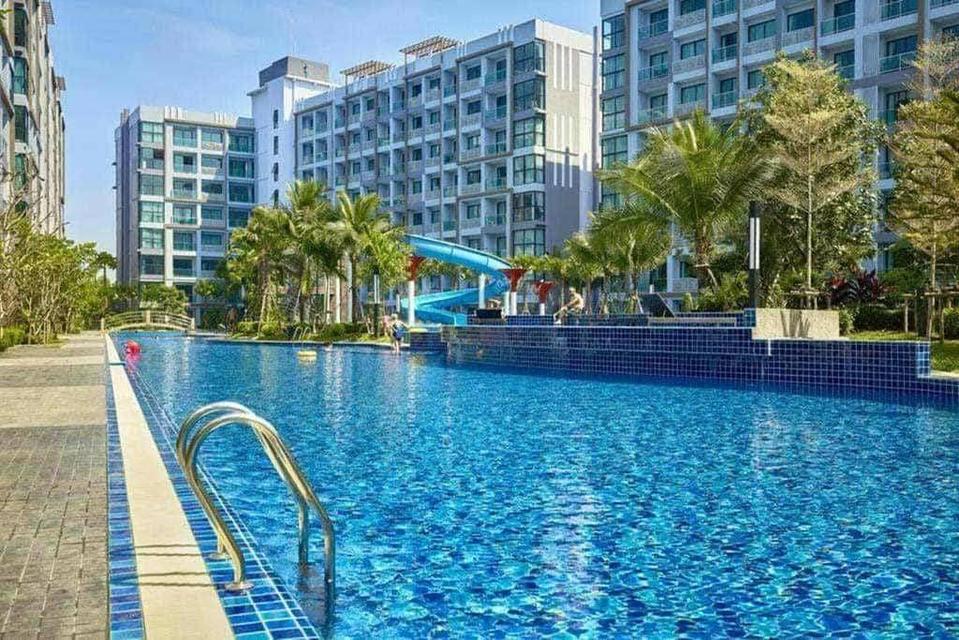 Dusit grand park 1 for rent 30,000/month 14