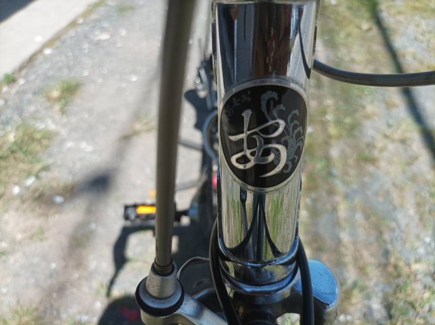 จักรยานเสือหมอบTENGE รุ่นCHAMPION 2 14900บาท รูปที่ 11