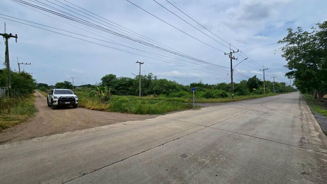 ขายด่วนที่ดิน 300 ตรว ติดถนนสาธารณะ 2 ด้าน ซ.บุญไพศาล1 คลอง 9 หนองเสือ ปทุมธานี 9
