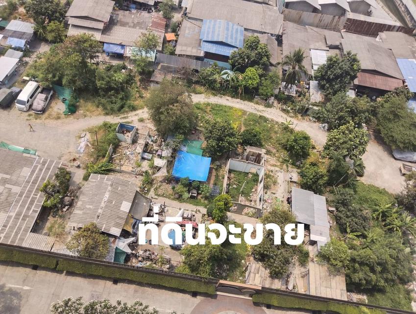 ขายที่ดิน100ตารางวา ใกล้ห้างฯเซ็นทรัลพระราม9 ใกล้ห้างโลตัสหอจูน ใกล้mrtพระราม9 ใกล้แอร์พอร์ตลิงค์มักกะสัน เพียง500เมตร 12ล้าน 3