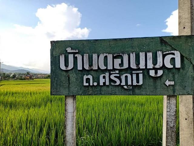 ทำเลเงื่อนไขซื้อขายสิ่งสำคัญ ที่สวยติดแม่น้ำน่าน น้ำใสไหลรินตลอดปี ต.ศรีภูมิ อ.ท่าวังผา จ.น่าน ขาย 800000 วิวดีสวยมาก 09