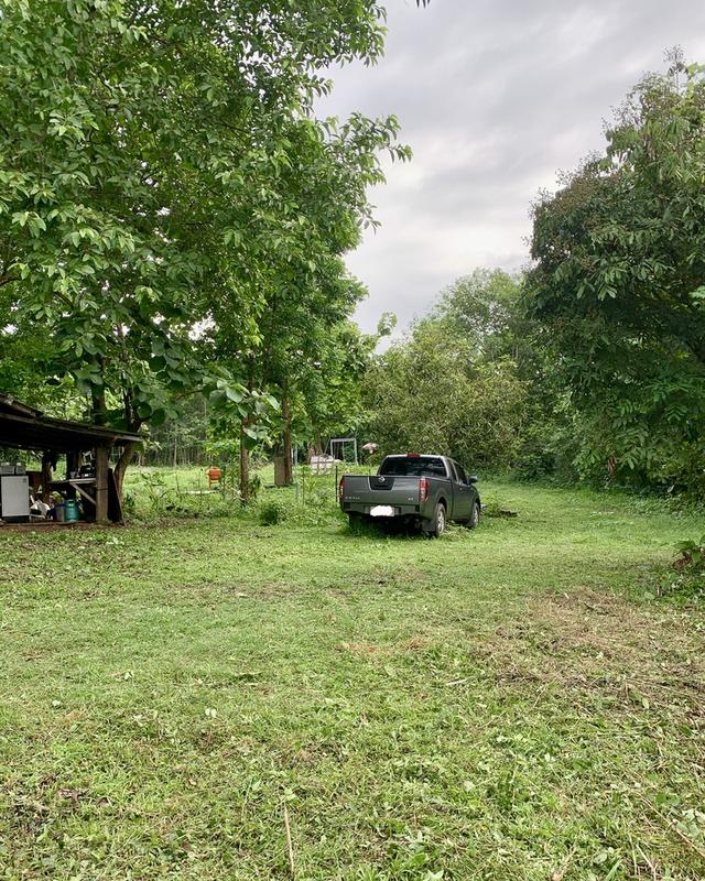 ที่ดิน 9 ไร่ 1 งาน 7 ตรว 4