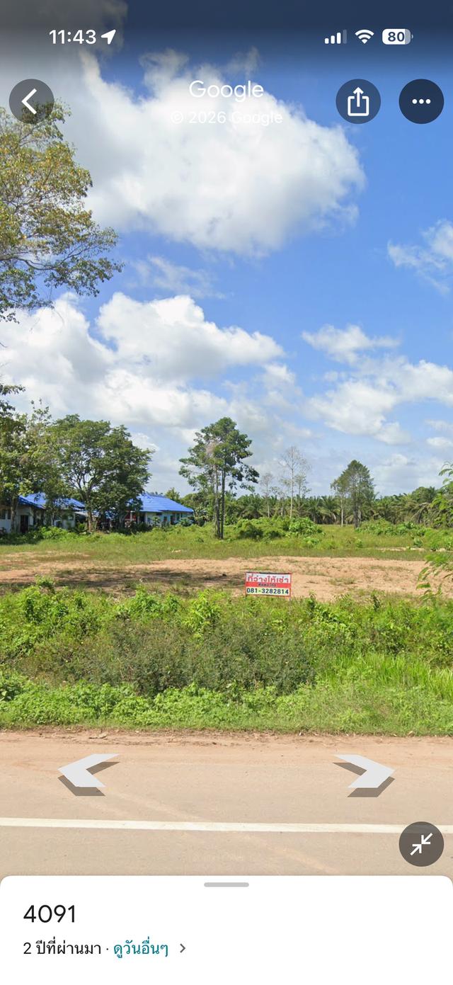 ให้เช่าที่ดินติดถนนใหญ่ หน้าสำนักงานเทศบาลทุ่งตะไคร้ แบ่งล็อกขายของ / ร้านอาหาร / ผลไม้ คนผ่านเยอะ มีล้งทุเรียน 4