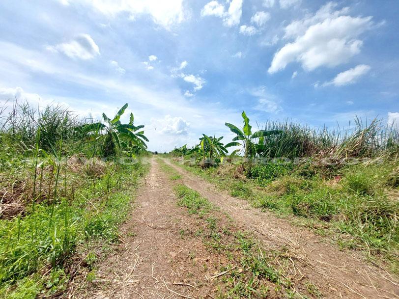 ที่ดินจัดสรรล็อคที่ 10 ถ.346 ต.หน้าไม้ อ.ลาดหลุมแก้ว จ.ปทุมธานี 6