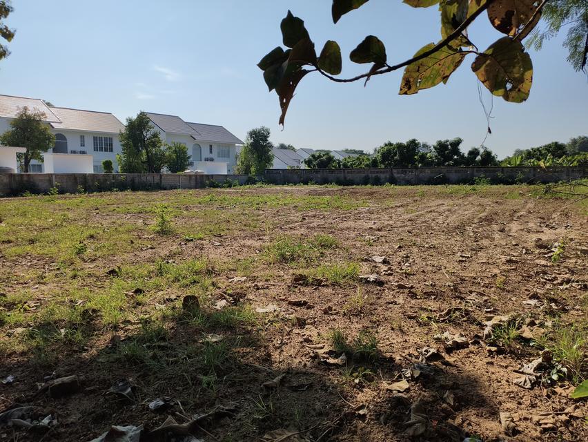 ที่ดินเปล่า แม่เหียะ เชียงใหม่ 4