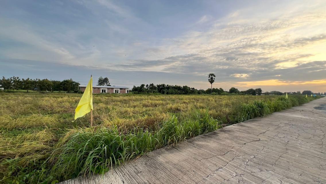 ขายที่ดินเงินผ่อน 2 ปี ไม่มีดอกเบี้ยตำบล หนองสามวัง อำเภอ หนองเสือ ปทุมธานี 16
