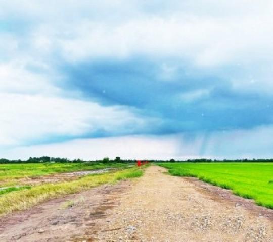 ขาย ที่ดิน ที่ทำเกษตร4.5แสนต่อไร่ บ้านนา นครนายก 2 ไร่ 800 ตร.วา ชั้นทั้งหมด 1 ชั้น ชั้นที่ 1 นครนายก 7