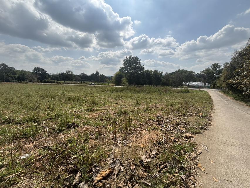 ที่ดินเปล่า ด้านหลังอำเภอ วังน้ำเขียว แบ่งขาย ได้ 4