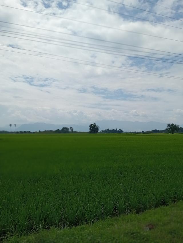 บ้านพร้อมที่ดิน 2 ไร่ 2 งาน 17 ตรว. 19