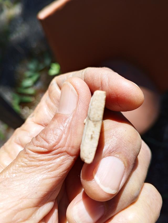 ให้เช่าพระสมเด็จเกศไชโยเจ็ดชั้น 3