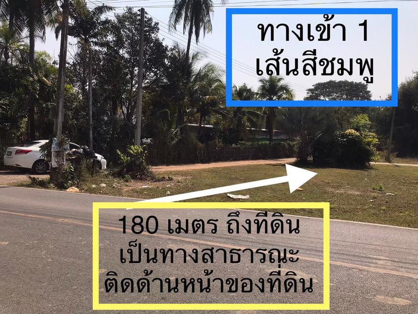 ที่ดินสันป่าตอง เชียงใหม่ ทำโรงงานบางชนิดได้ เป็นพื้นที่สีชมพู 15