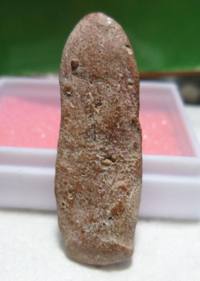 กำแพงพลูจีบพิมพ์เล็ก 3