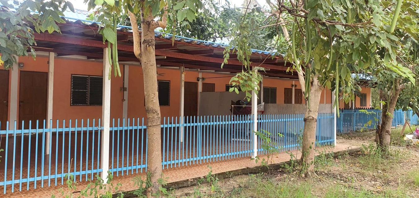 บ้านพร้อมที่ดินทำเลทอง ใกล้เซ็นทรัลพิษณุโลก 11