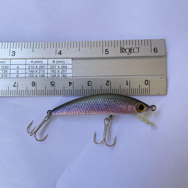 เหยื่อปลอมตกปลา Lucky craft humpback minnow 6