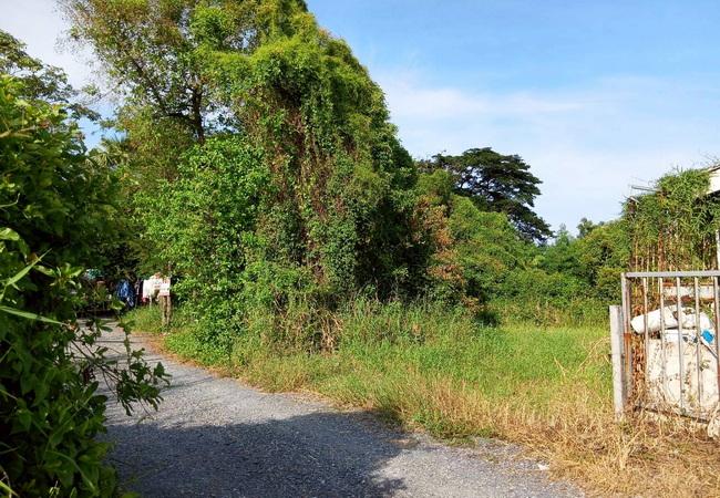 ขายที่ดิน ซอยมิตรไมตรี 14 ถนนมิตรไมตรี แขวงคู้ฝั่งเหนือ เขตหนองจอก กรุงเทพมหานคร 6