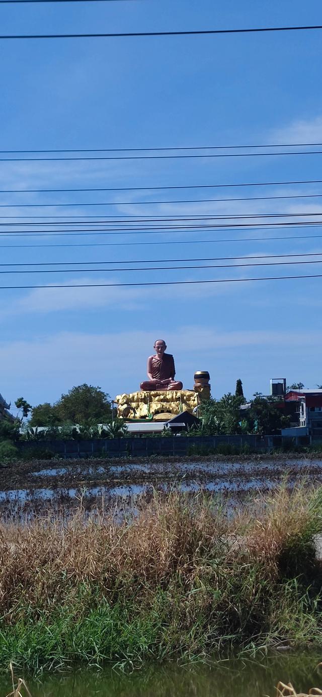 ที่ดินคลอง 4 อ.คลองหลวง จ.ปทุมธานี 9