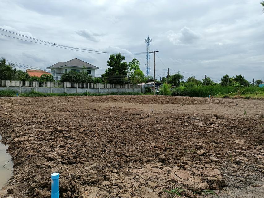 รูป ให้เช่าที่ดิน 201ตรว ซอยสมเอก ปากเกร็ด นนทบุรี 2