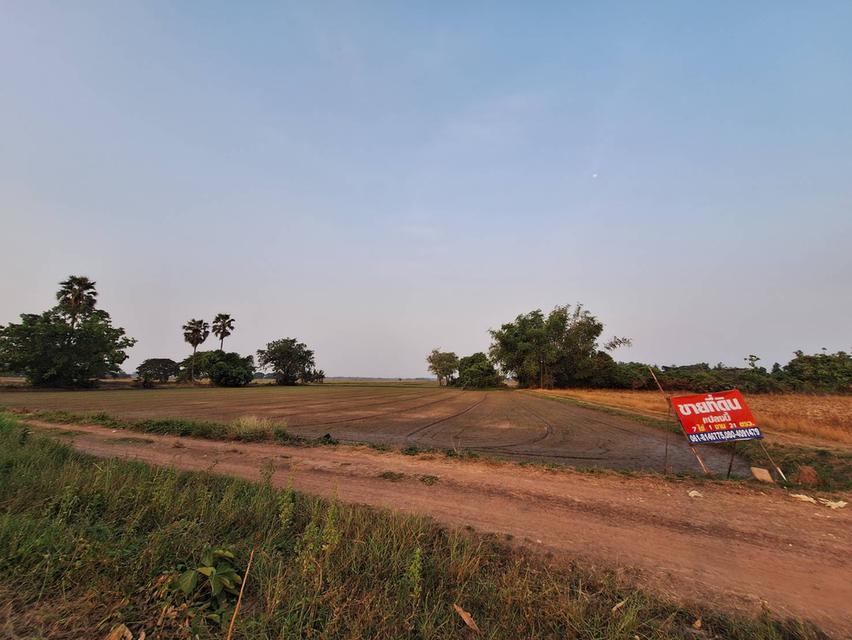ที่ดินมีทางเข้าออก โฉนดครุฑแดง มีทางเข้าออด เจ้สของขายเอง 7