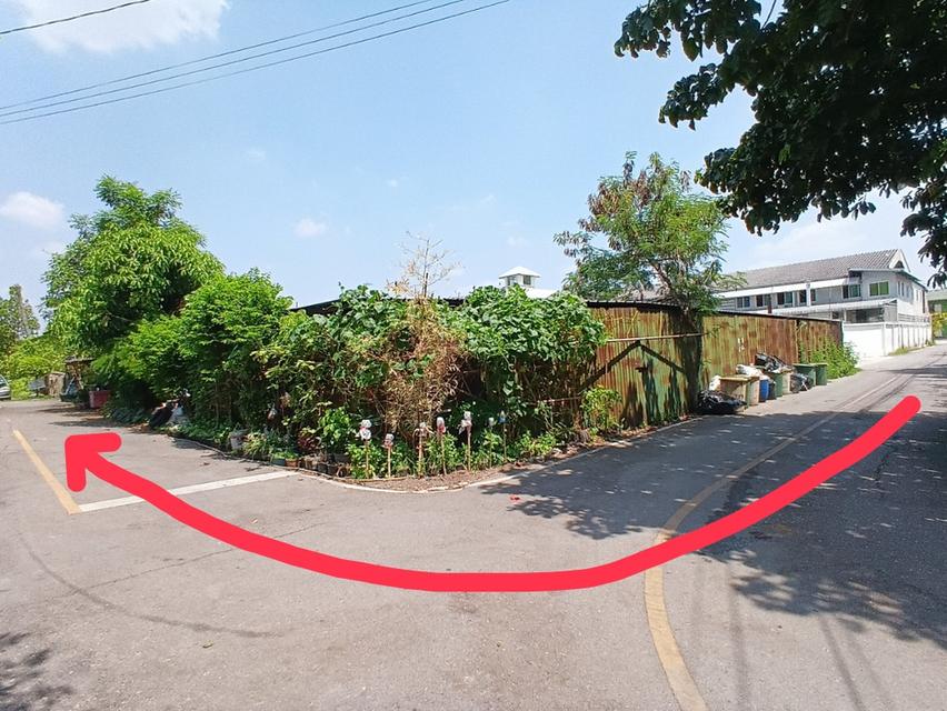 ขายที่ดิน 204 ตารางวาถมแล้ว ซอยแม่สำเนียง ตำบลเสาธงหิน อำเภอบางใหญ่ จังหวัดนนทบุรี 6