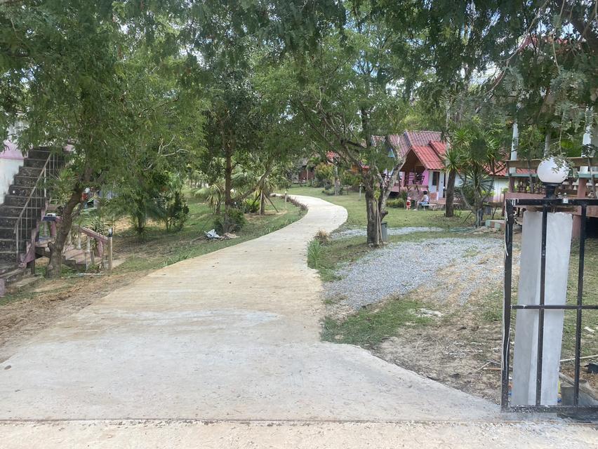 ไร่ชมจันทร์ วังน้ำเขียว 14ไร่ 14