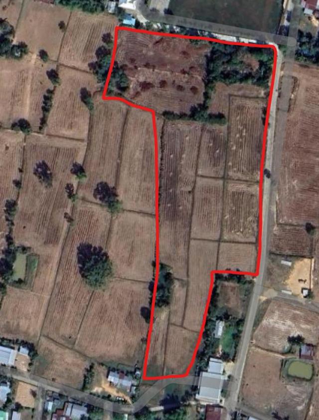 ขายที่ดิน ศรีสะเกษ อำเภอโพธิ์สุวรรณ 4