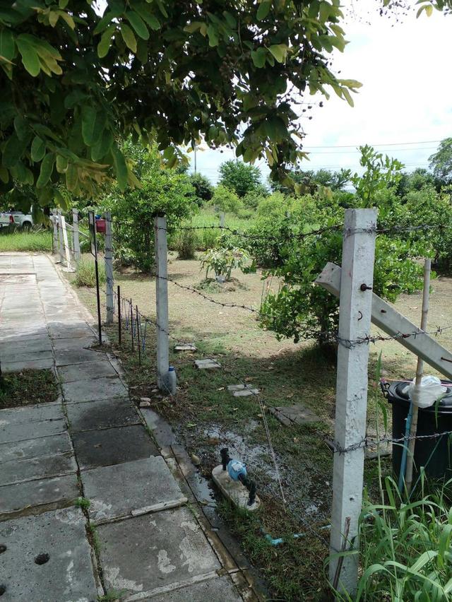 ที่ดินเปล่าจัดสรร(หมู่บ้านวิจิตราธานี) 6
