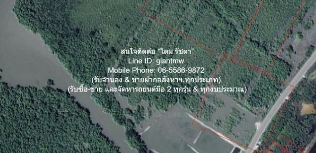 ที่ดิน ที่ดินติดป่าชายเลน (ติดทางหลวง & ติดทะเลอ่าวไทย) 5-2-22 ไร่ (2,222 ตร.ว.) บ้านแหลม จ.เพชรบุรี 2222 sq.wa 13887500 4